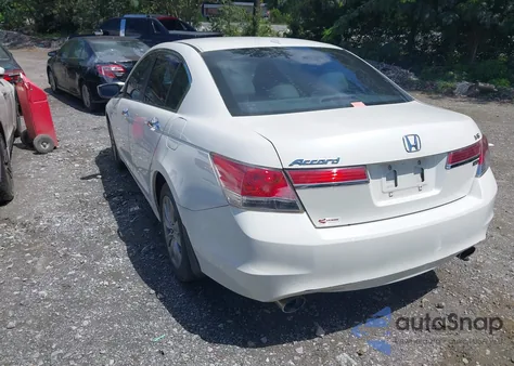 2011 Honda Accord Exl z USA, uszkodzony, nr VIN 1HGCP3F85BA031055
